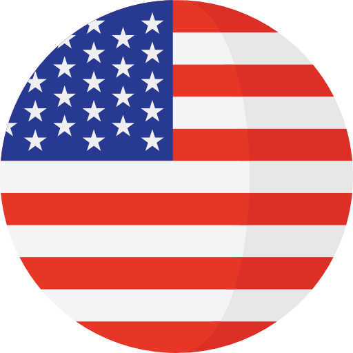 Usa Icon